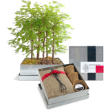 Illustration for article titled Great Gifts for the Home Design Nerd